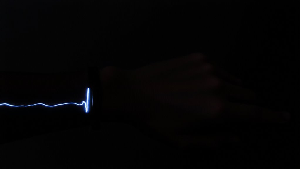 circadian rhythm regulation mechanism