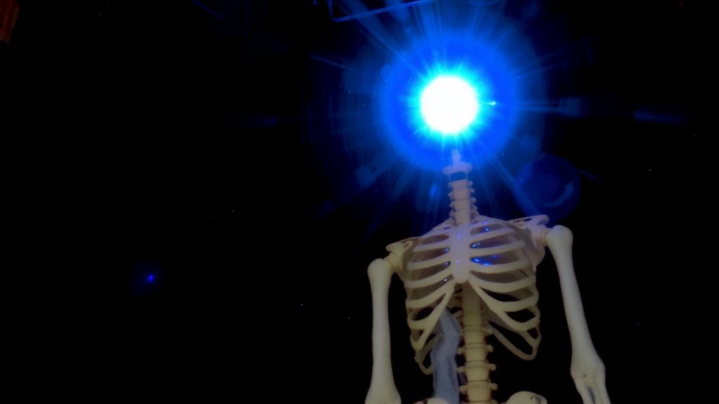 melatonin supports bone health