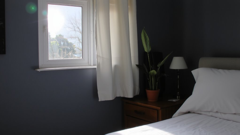 nighttime air purifying plants